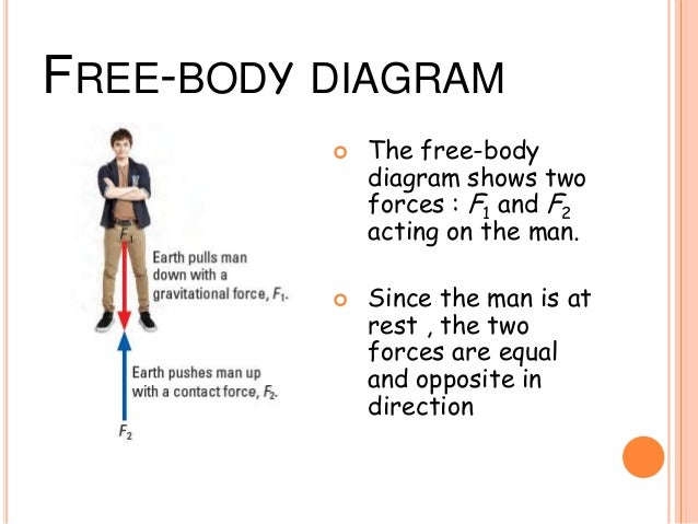 force and free body diagram force and free body diagram